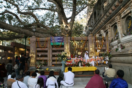 สังเวชนียสถาน, พุทธคยา, ลุมพินี, กุสินารา, สารนาถ, ศรีมหาโพธิ์
