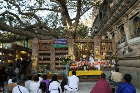 สังเวชนียสถาน, พุทธคยา, ลุมพินี, กุสินารา, สารนาถ, ศรีมหาโพธิ์